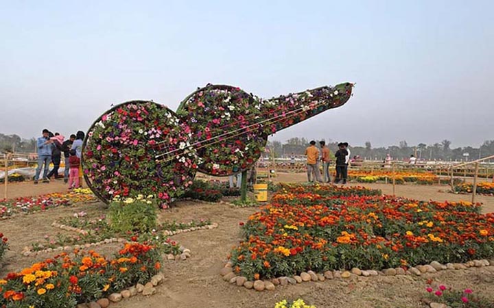 চট্টগ্রাম ডিসি পার্কে মাসব্যাপী ফুল উৎসব